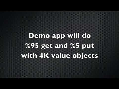 Hazelcast Elastic Memory Demo on 100 node