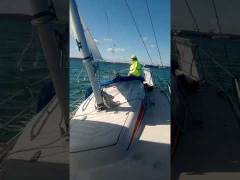 Bootsleben: IF Boot Marieholm segeln auf der Kieler Förde