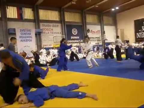 Real aikido techniques