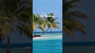 Not the Maldives. Not Bora Bora. Somewhere better? This is San Blas, Panama #sanblas #panama #beach