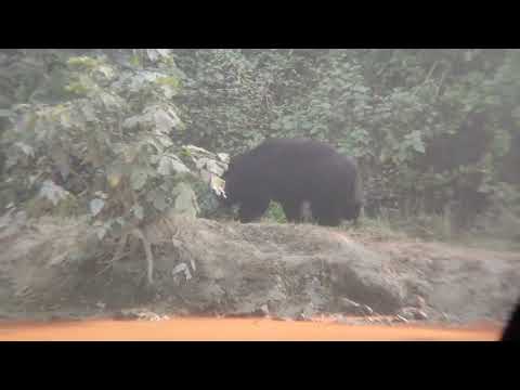 good seating for beeyar fhato zone