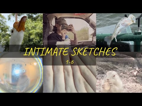 Intimate Sketches (1-6)
