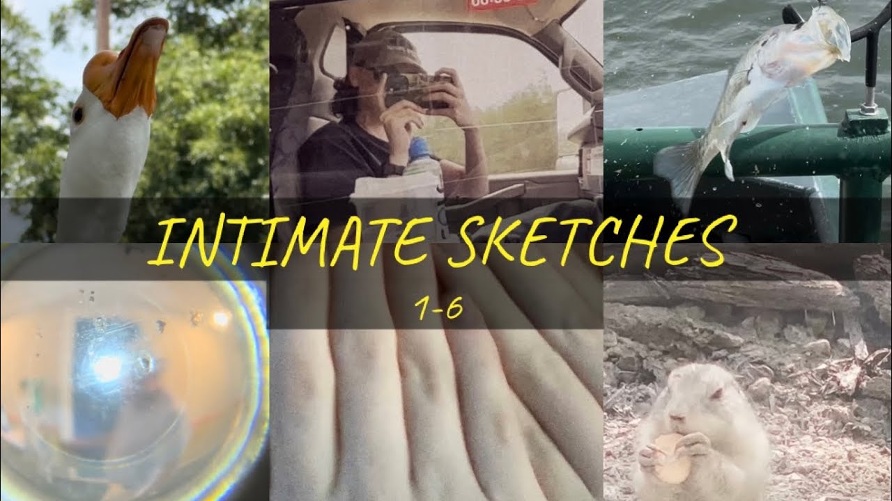 Intimate Sketches (1-6)