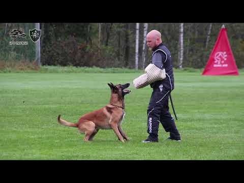 Svenn Christer Hauge & Frugo C