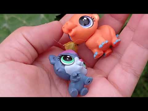 especial 14 de febrero parte 2