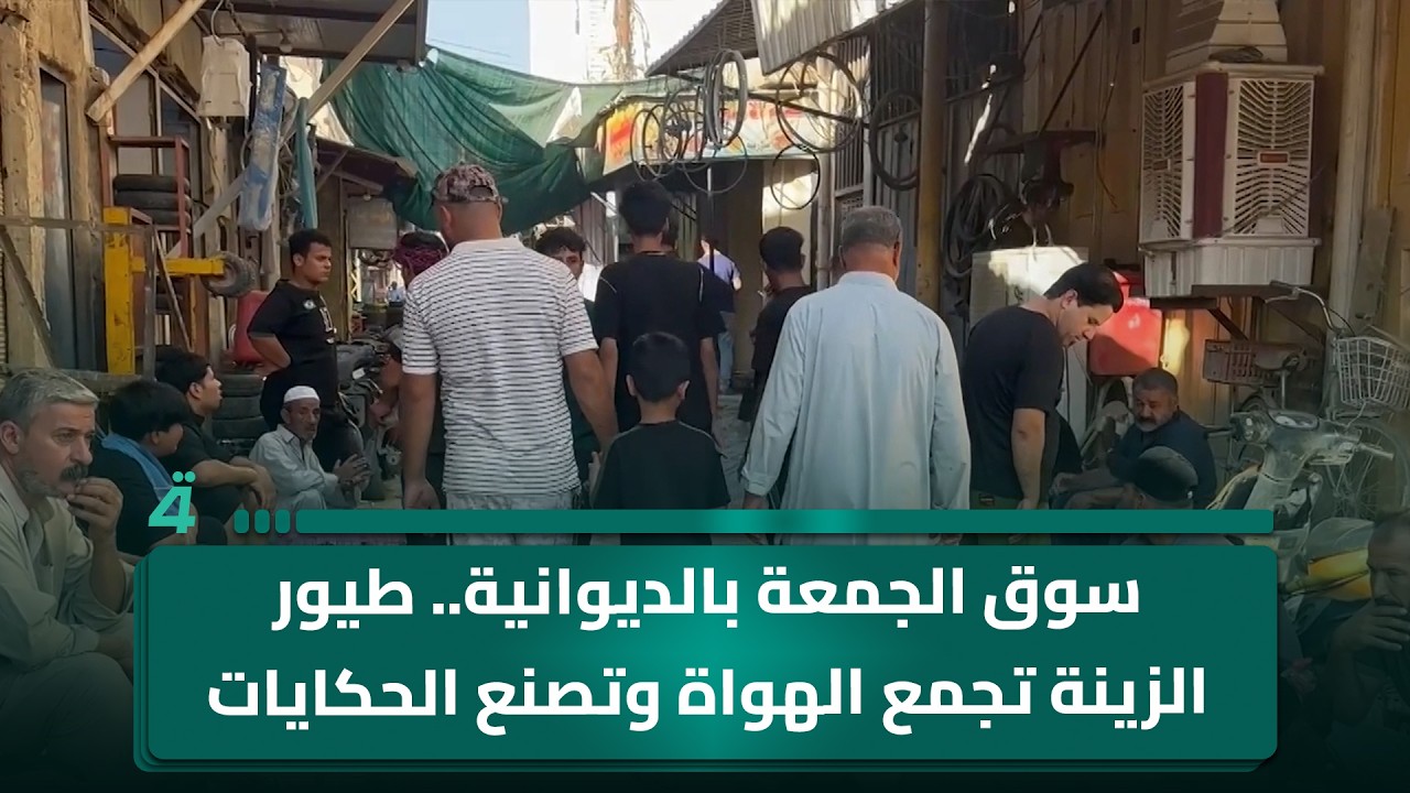 فيديو | سوق الجمعة بالديوانية.. طيور الزينة تجمع الهواة وتصنع الحكايات