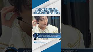 Keajaiban Kecil, Muncul  Kupu-kupu di Tugu Peringatan Kematian Moonbin ASTRO