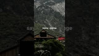 Download lagu Story wa Lagu Yowes Modaro ~ Aftershine ft. Damara De / Lirik Aeshtetic. mp3