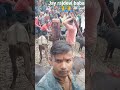 Sonamai Temple ️ Ranga Bali Chadako Video