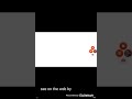 Veggie Tales Com Goodbye Scene For Colleen Ford