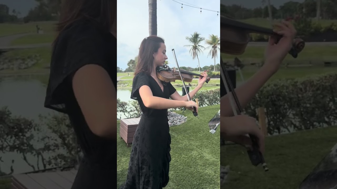 Promotional video thumbnail 4 for Hanalei Ritter Strings