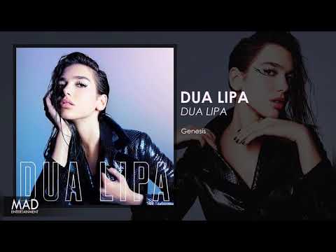 Виниловая пластинка Dua Lipa - Dua Lipa LP