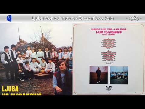 Ljuba Vojvodanovic - Djila gornjana katra Bor - (Audio 1985) - CEO ALBUM