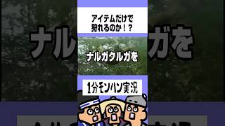 【MHP2G】アイテムだけでナルガクルガは狩れるのか！？