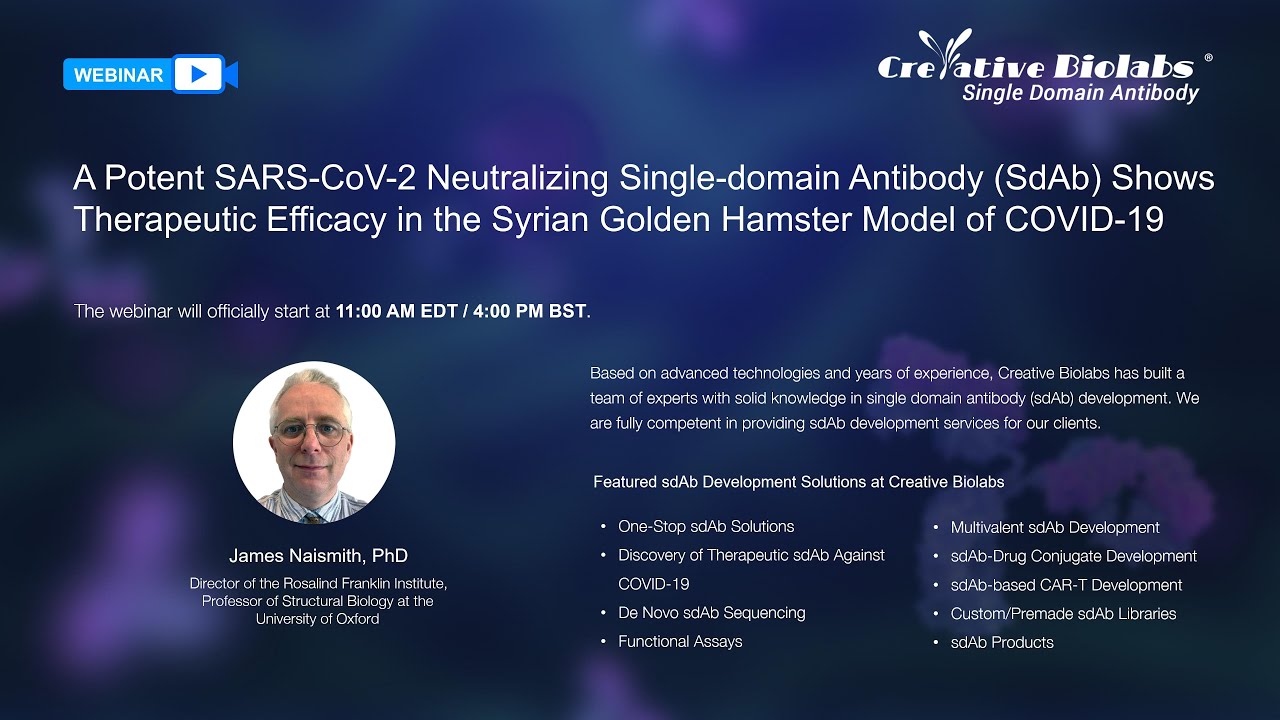 A Potent SARS-CoV-2 Neutralizing SdAb Shows Therapeutic Efficacy in A Hamster Model of COVID-19