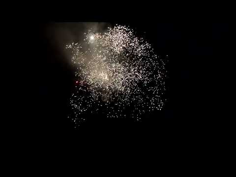 JPC2010017: 20mm 100 shots