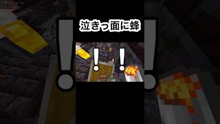 【泣きっ面に蜂とはこのこと】#マイクラ統合版 #アドオン