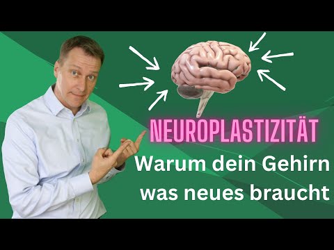 Neuroplastizität  - Warum dein Gehirn was neues braucht