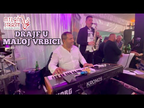 DRAJF U MALOJ VRBICI / SVADBA / LAVOVI / SRDJAN JOVANOVIC / MILAN STRASNI
