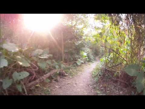 Skibs - Hong Kong We Get High