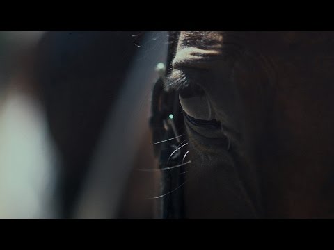 European Jockeys' Cup 2016 - Invitation - 24.9.2016 [Official]