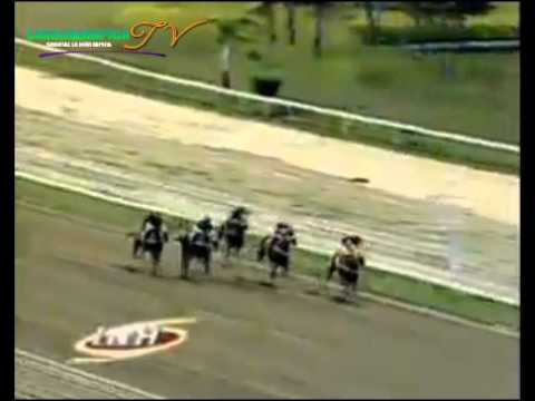 LA RINCONADA 8 CARRERA DOMINGO 20 DE JULIO DEL 2014