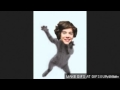 Harry Styles Kitty Cat Dance Song 
