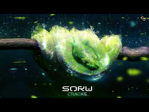 Soru - Bones