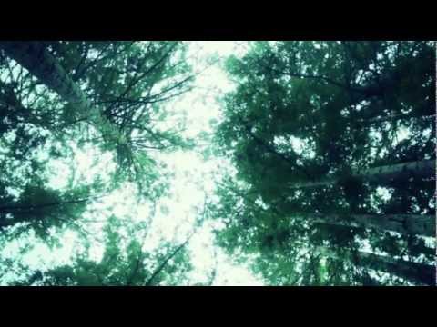 Tony Junior vs. Jacob Van Hage, Dyro vs. Project 46 - Strange EMP Reasons (Youth Offender Mash Up)