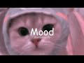 24kgoldn Mood Lofi Slowed Reverb