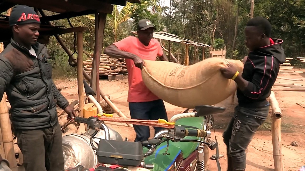 Ghana : une vie d'esclave pour du cacao