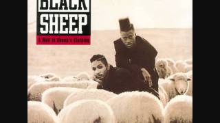 Black Sheep - Hoes We Knows