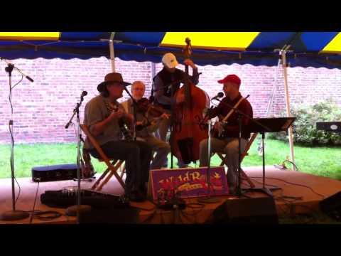 WildRoot String Band - Apple Umpkin Festival 2010