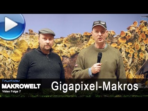 Gigantic sharpness via GIGAPixel macro!