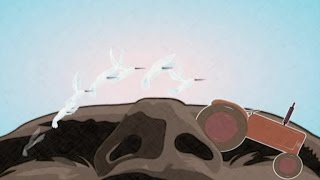 Heartbeats Lyrics Spanish Translation