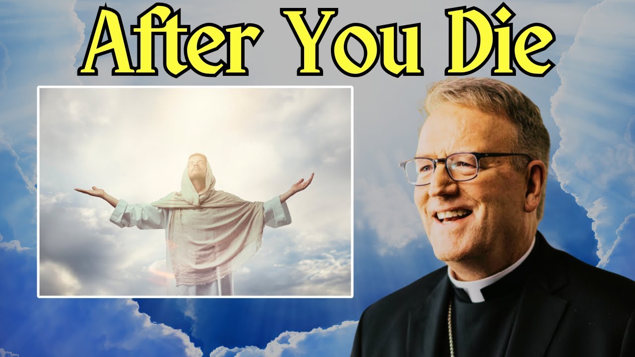Catholic Priest BEAUTIFULLY Explains What Happens After You Die | Bishop Barron | @tjseaney reacts
