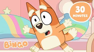 EGGCITING Easter with Bingo! 🐣 🧡 | Bluey Springtime Surprises | Bingo - Official Channel
