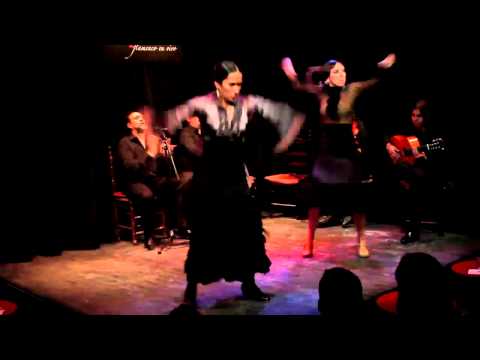 Flamenco 2014 - Mariana Collado, Karen Lugo & Moisés Navarro