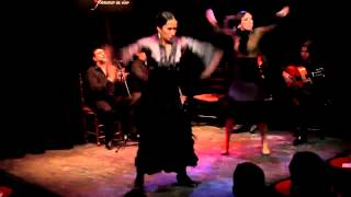 Flamenco 2014 - Mariana Collado, Karen Lugo & Moisés Navarro