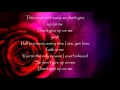 Dont Give up on me lyrics Veronica Ballestrini 