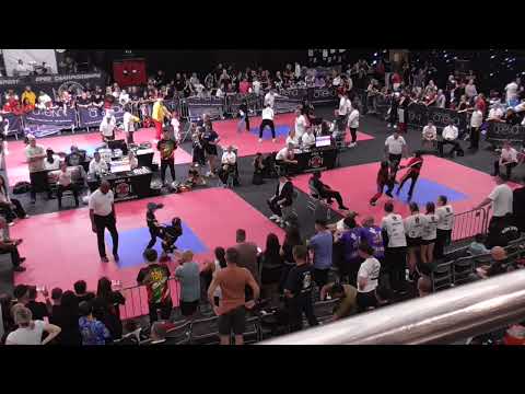 TATAMI WORLDS MATTS 3 4 5 6 PART 2