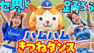 【セ界と踊ろう】きつねダンス『ハムハムハムスター▶︎きつね▶︎カマキリ…!? ほっこり可愛いスターマンに癒される』