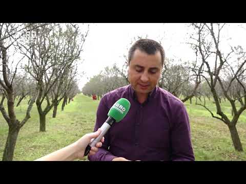 Afacere prosperă și performanță în agricultura ecologică cu Igor Golban