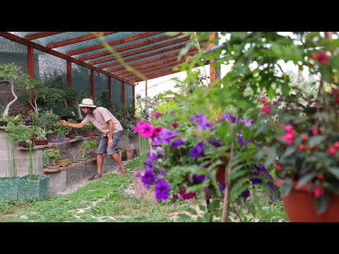 BuSho – Looks Can Deceive #13 – Simon Palitov: Cottage in the Forest