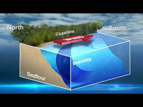 upwelling
