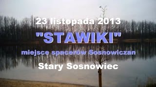 preview picture of video 'Stawiki - Stary Sosnowiec'