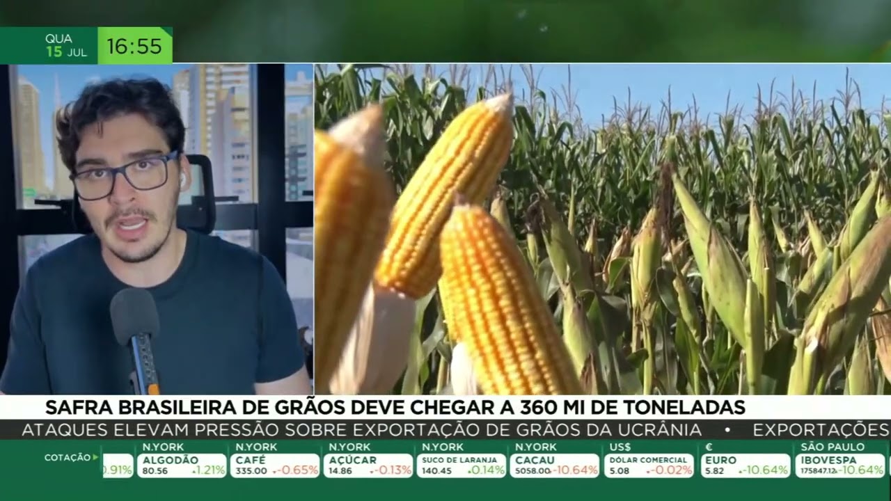 Safra brasileira de grãos deve chegar a 360 milhões de toneladas