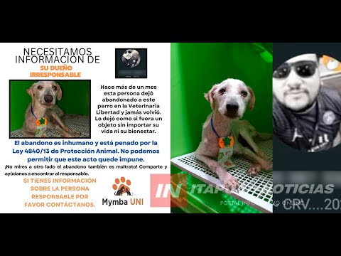 CRUEL LLEVÓ A SU PERRO PARA UN CORTE DE PELO Y NUNCA MÁS LO FUE A BUSCAR, FUE IDENTIFICADO Y LO DENU