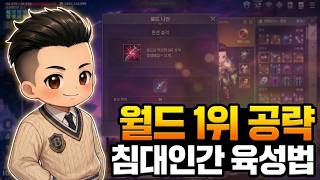 로드나인 | 월드랭킹1위도 찍었던 침대인간의 육성노하우 공략 총정리. 초보자 뉴비분들 꼭 보시고 참고하세요!