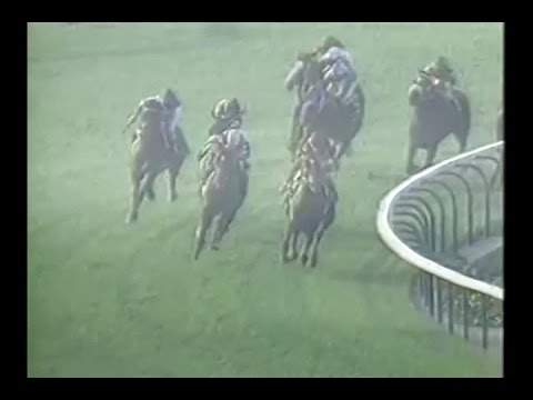 1986 Oak Tree Invitational Stakes